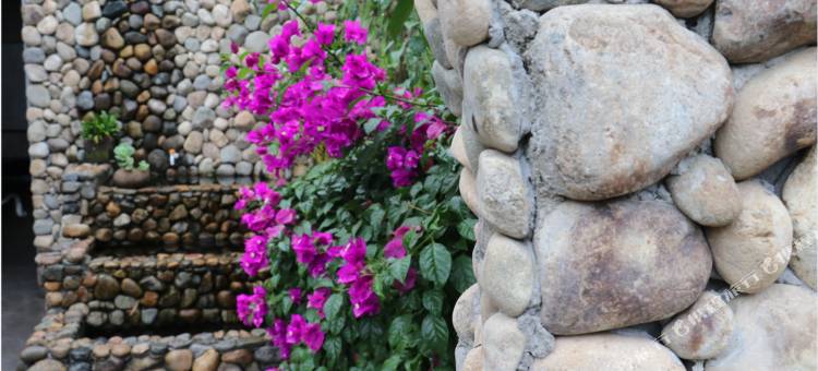 泰顺书香闲居民宿图片