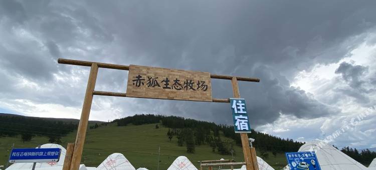 布尔津野狐湾毡房图片