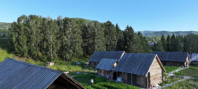 禾木古村人家图片