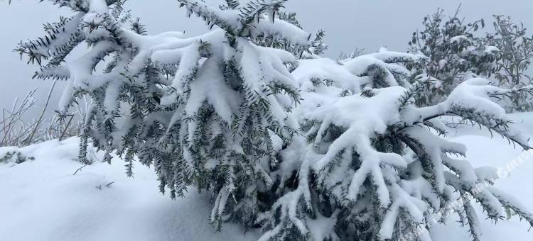 云想小屋民宿图片