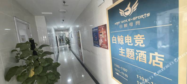 石嘴山白鲸电竞酒店(光明中学店)图片