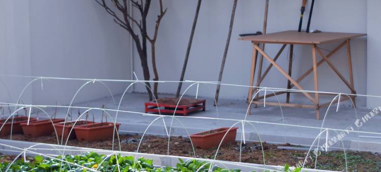 憨虎虎非遗民宿图片