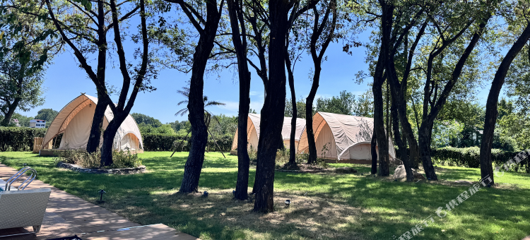 少间泾洲渡民宿(安庆宿松洲头店)图片