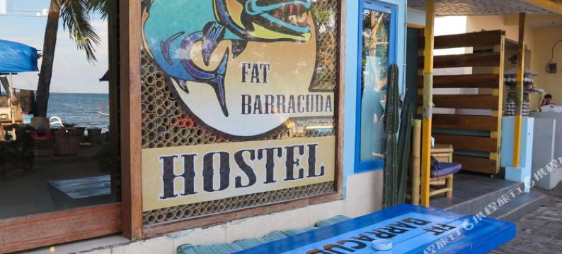 法特巴拉库达旅舍(Fat Barracuda Hostel)图片