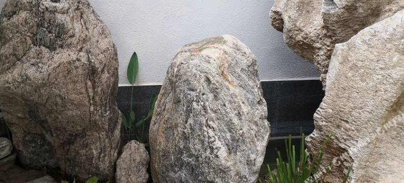 澄江顺忆客栈图片