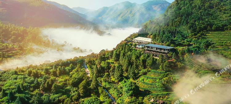 岳山嘉茗茶旅民宿图片