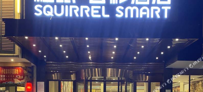 松鼠·云杉酒店(株洲攸州公园火车站店)图片