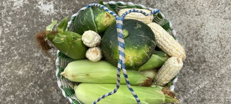 余姚四明山香椿农家乐图片