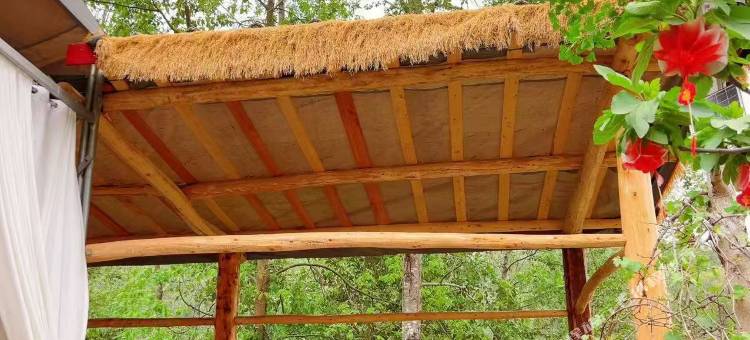 金山农家乐图片