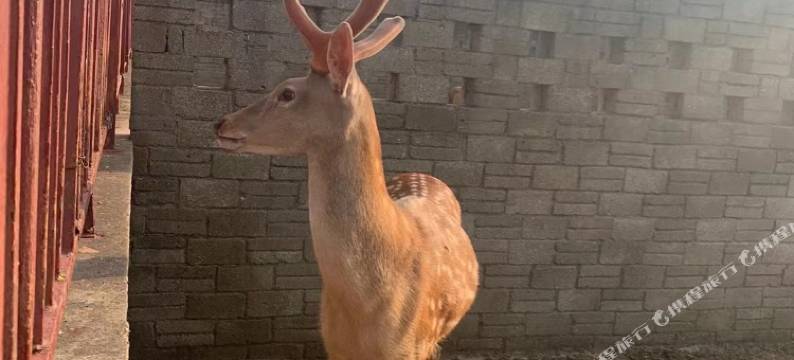 随州广水明月湾度假村图片