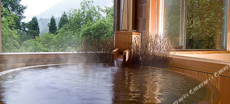 奧飛騨溫泉 深山桜庵(Miyama Ouan)图片