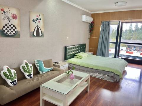 南京南大君临国际公寓