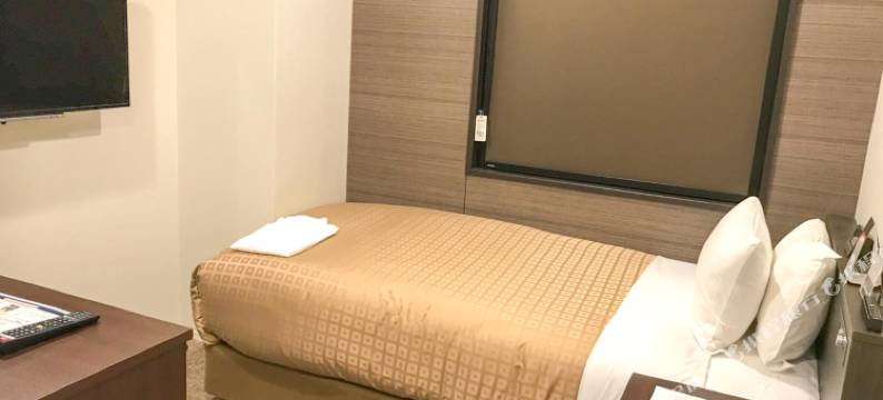利夫马克斯酒店-富山店(HOTEL LiVEMAX Toyama)图片