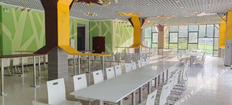 白头叶猴公寓图片