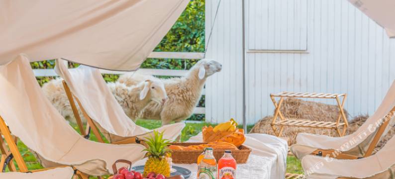 阳朔疏林听雨·网红牧场酒店(漓江店)图片