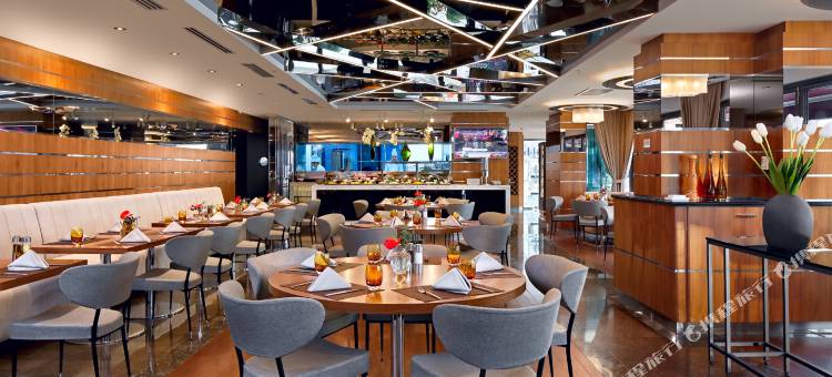 西方安卡拉酒店(Occidental Ankara)图片
