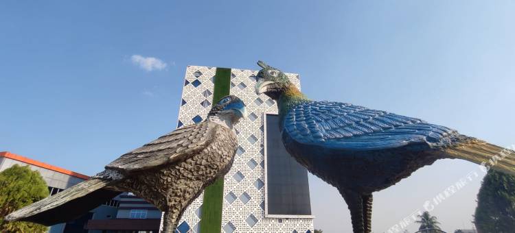 伊塔哈里韦斯滕德索尔蒂酒店(Soaltee Westend Itahari)图片