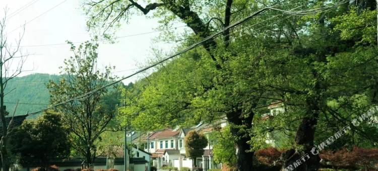 安吉泽熙民宿图片