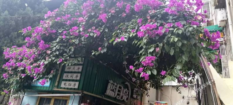 梓潼蓝月亮旅馆图片