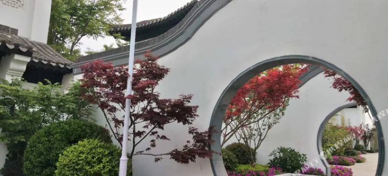 洛阳静享小院时光图片