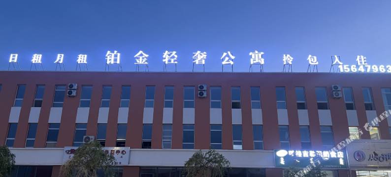 铂金轻奢公寓图片