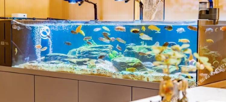 孙吴泊廷轻奢酒店图片