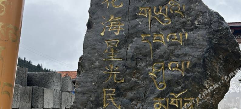 花海星光民宿图片