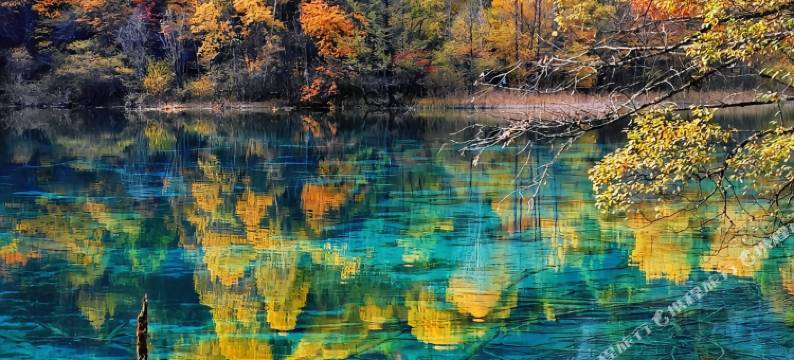 野隐·山居民宿(九寨沟风景区游客中心打卡点店)图片
