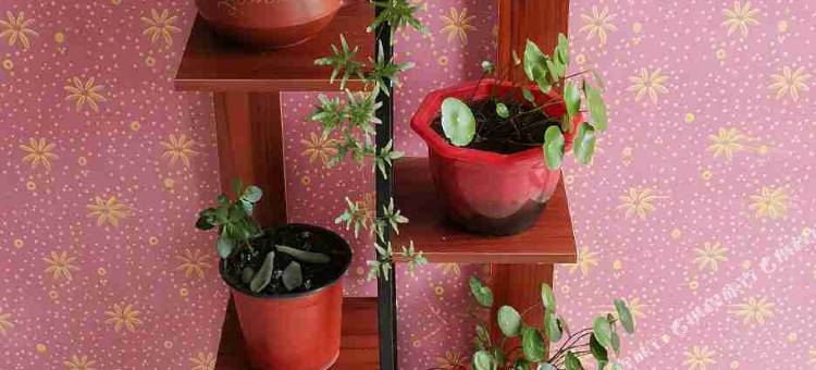 上甘棠寿隆桥客栈图片