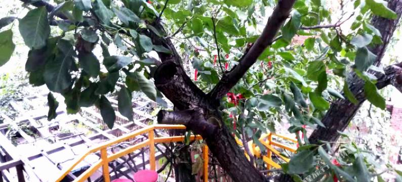 北京溪水人家文化主题民宿图片