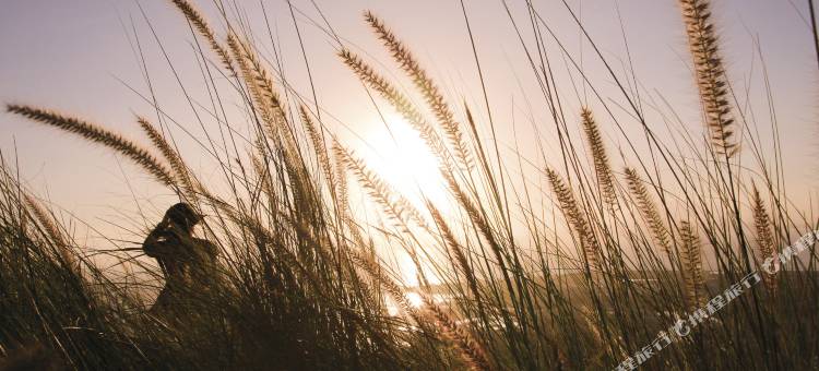 汤斯维尔假日盛橡套房酒店(Oaks Townsville Gateway Suites)图片