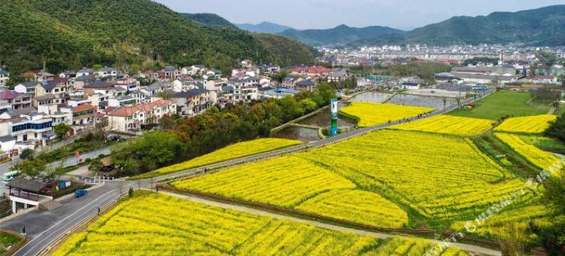 安吉庭仙农家(余村两山景区店)图片