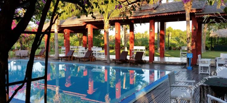 泰泽花园饭店(Thazin Garden Hotel)图片