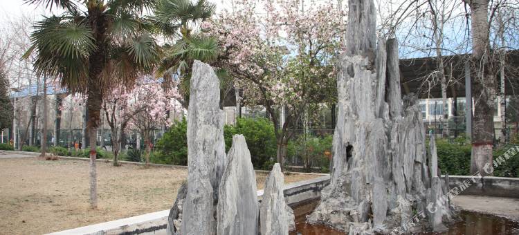 柏曼酒店(焦作解放路体育馆店)图片