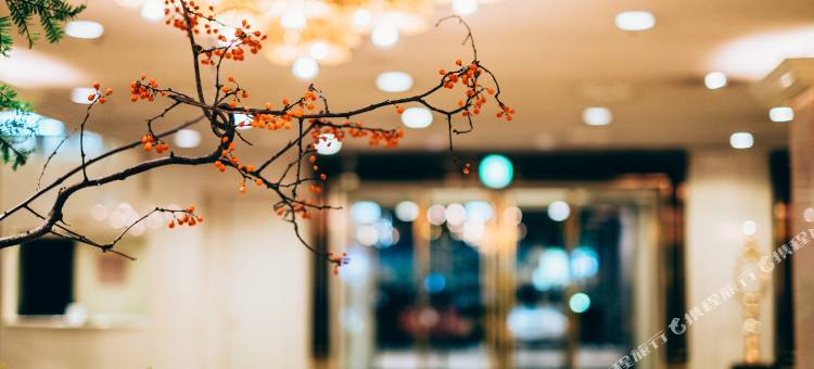 博多新大谷酒店(Hotel New Otani Hakata)图片