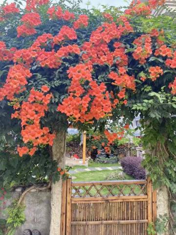 新昌起云居民宿(下岩贝村店)图片