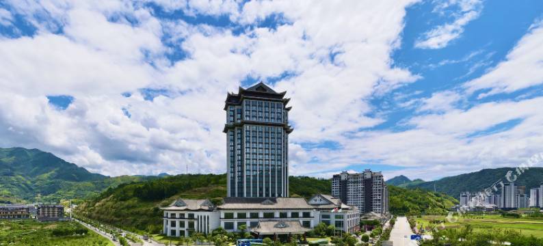 景宁天元名悦大酒店图片