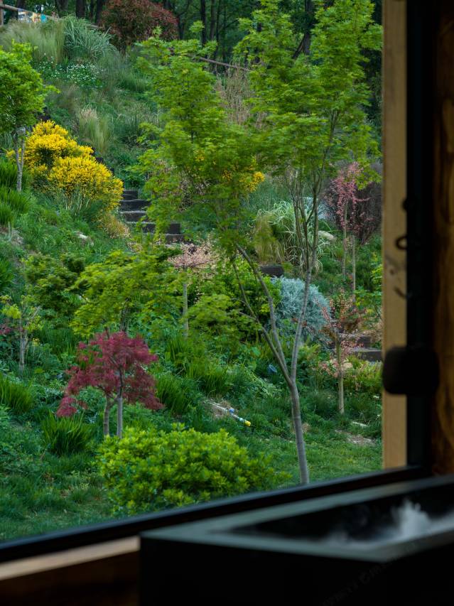 青寂溪谷半山酒店图片