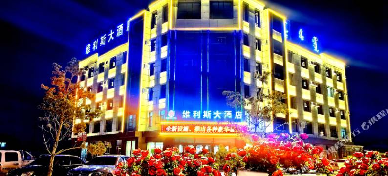 维利斯大酒店图片