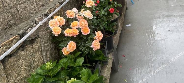 平潭刘家客栈(坛南湾店)图片