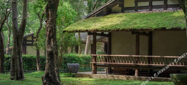 桃花源云舍度假村图片