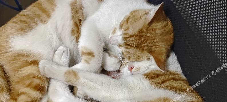 有间小筑民宿(王城公园店)图片