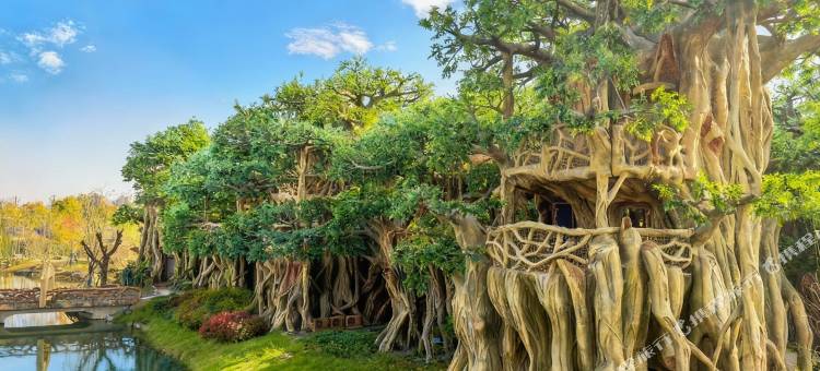 宿迁森迪部落树屋酒店图片