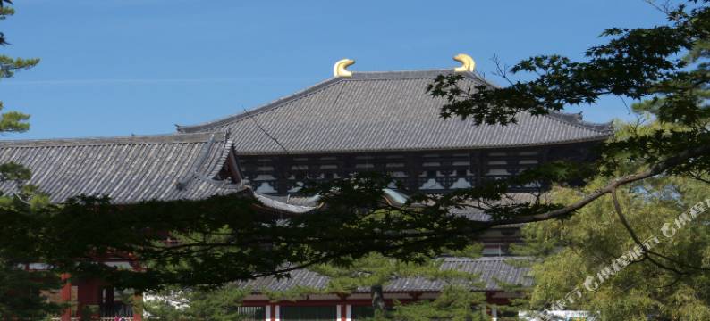 奈良町家和鹿彩别邸(Wakasa Annex)图片