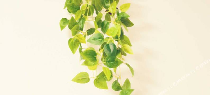 海口金都宾馆(万象城海口中学店)图片