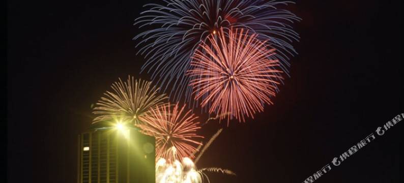 NASPA新大谷旅馆(Naspa New Otani)图片