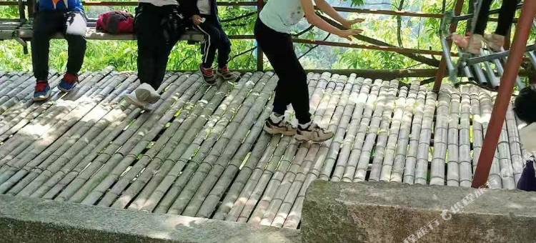 浙西大峡谷银杏家园民宿图片