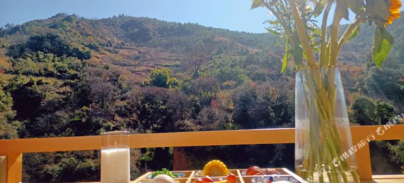 尺木有节民宿图片