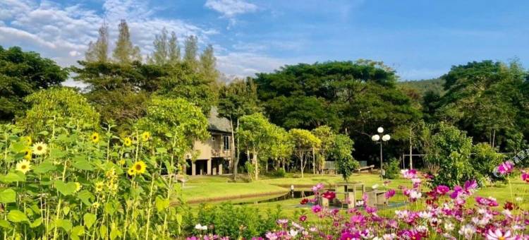 树景山景度假村(Treescape Mountain View Resort Chiang Mai)图片