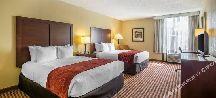 基西米舒适套房酒店-靠近公园(Comfort Inn & Suites Kissimmee by the Parks)图片
